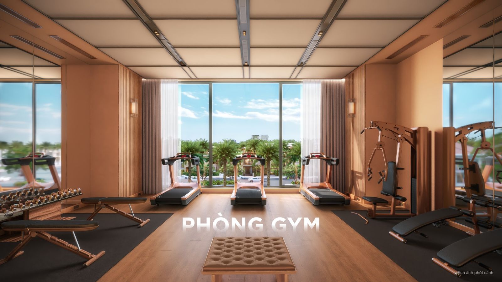 Phòng gym Q'Terra